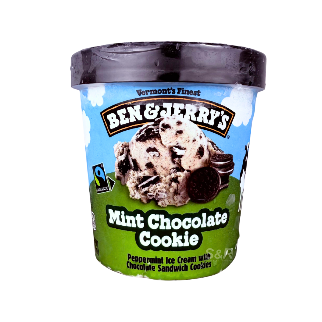 Ben & Jerry Mint Chocolate Cookie Ice Cream Tub 473mL
